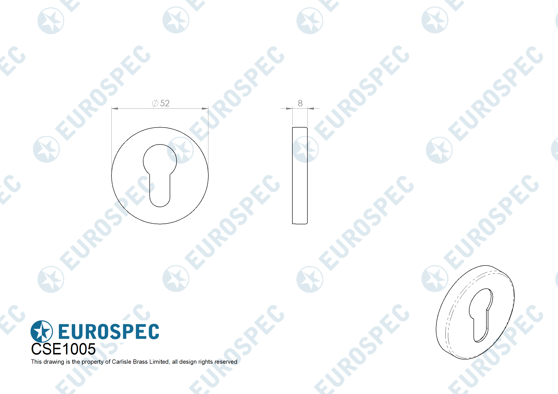 Stainless Steel Escutcheon